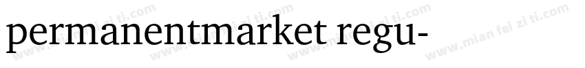 permanentmarket regu字体转换